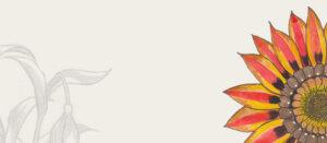 banner2.jpg