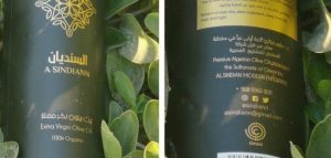 cropped-IMG_٢٠٢١٠٢٠٣_٠٦٤٧١٧-1.jpg