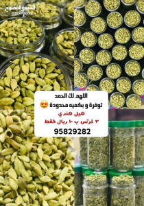 ٢٠٢٢١٠٢٧_٠٦٥٢٤٢